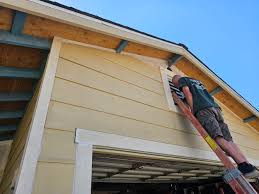 Best Custom Trim and Detailing for Siding  in Winter Garden, FL